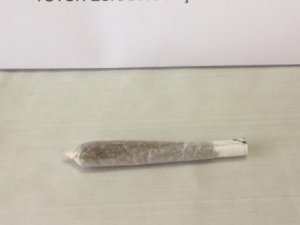 Jandarmadan uyuşturucu operasyonu