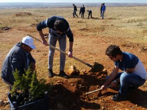 Öğrenciler, 15 Temmuz ve Afrin şehitleri için fidan dikti
