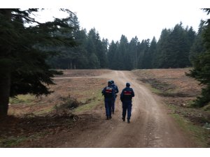 Mantar toplarken kaybolan kadın bulundu