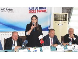 AK Parti’li Sarıeroğlu Çorum’da STK temsilcileriyle biraraya geldi