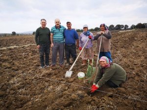 Gönen’de zeytinler dikiliyor, yüzler gülüyor