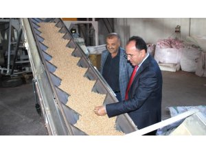 Yerli tohumun merkez üssü Adıyaman’dan yurt dışına tohum ihracatı