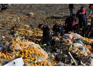 Narenciye posası altında can pazarı