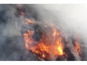 Başkale’de 5 bin bağ ot yandı