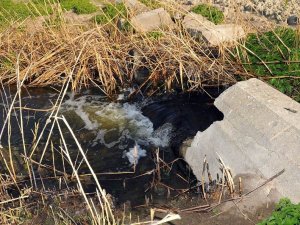 Akşehir Gölü kurumaktan kurtulacak