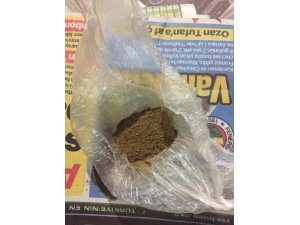 Durdurulan otomobilden bonzai ele geçirildi