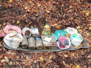 Amanoslarda 65 kilo TNT ele geçirildi