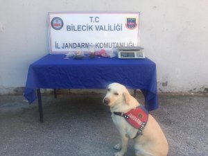 Bilecik’te uyuşturucu operasyonu