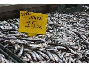 Yerli hamsi tezgahlarda