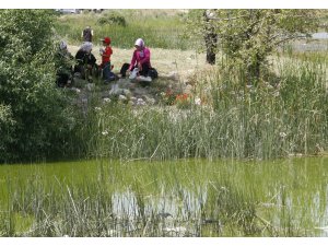 Kirazdibi Göleti'nde mesire alanı kuruluyor