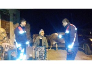 İneklerini kaybeden Fatma Ninenin yardımına Jandarma koştu