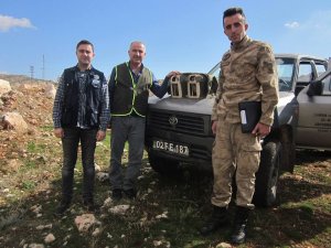 Jandarma kaçak avcılara göz açtırmıyor