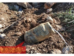 Hainlerin tuzağını jandarma bozdu