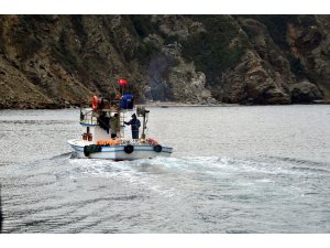 3 milyon liralık "yapay resif"ler balık popülasyonunu artırdı