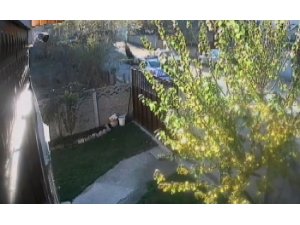 Polis aracının çarptığı küçük çocuğun beyin ölümü gerçekleşti