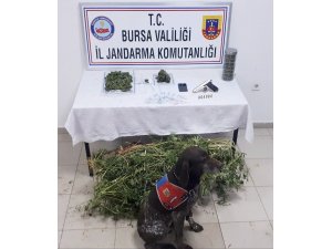 3 katlı uyuşturucu deposu ele geçirildi