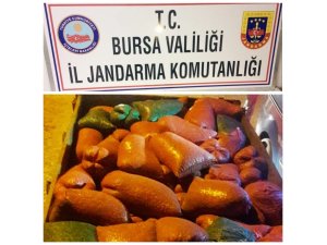 Traktör römorkuna 2 ton midye gizlemişler