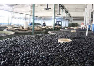 Marmarabirlik’ten 110 milyon TL’lik ödeme