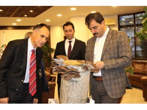 İstiridye mantarı satışı için Başkan Türkmen’den yer talep ettiler