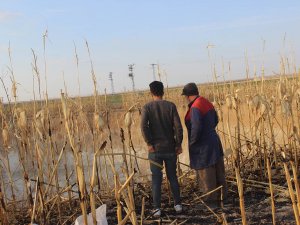 Mısır hasatı bitince dev obruk ortaya çıktı