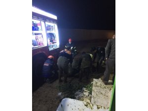 Aksaray’da fosseptik çukuruna düşen gebe inek kepçeyle kurtarıldı