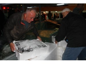 Akçakoca kıyılarında hamsi bereketi