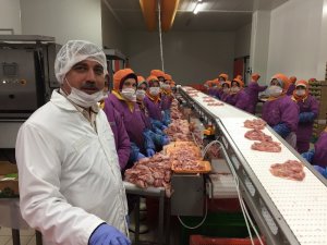 Türk tavuğu Japonların cinsel gücünü artırıyor