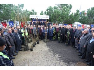 Büyükşehirden çiftçilere fidan desteği