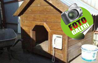 Bu pratik zekâ ürünleri güldürüyor