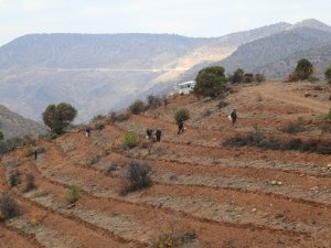 Hadim’e gelir getirici tür projesi