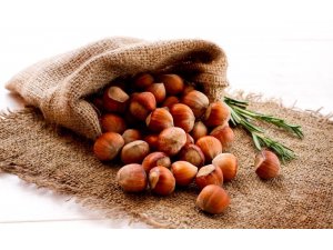 Ekim ayında bin 516 ton iç fındık ihraç edildi