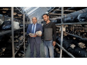 Bafra İŞKUR’un verdiği destekle hayalleri gerçeğe dönüştü