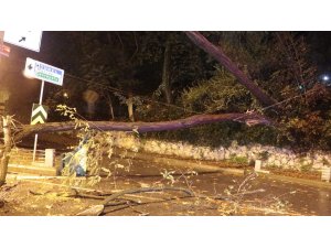 Sarıyer’de tünel girişine ağaç devrildi, yol trafiğe kapandı