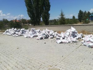 Beyşehir'de bin 349 aileye yakacak yardımı