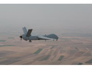 Anka ihracata uçuyor