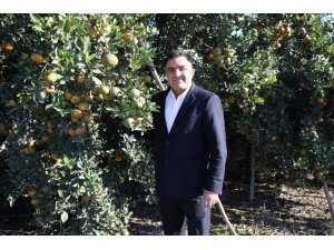 Narenciye ihracatında Rusya krizi