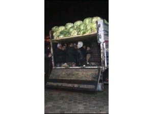 Lahana yüklü kamyonette 38 kaçak göçmen yakalandı