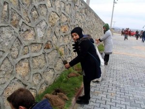 Beyşehir OSB'de fidan dikme etkinliği