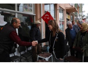 Milletvekili Günay, Beylikova'da