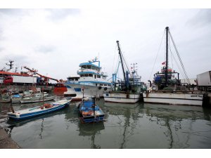 Akçakoca'da hamsi bolluğu