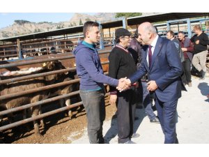 Kuyucak’ta genç çiftçilere damızlık hayvanları teslim edildi