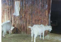 YAYÇEP programcıları Karapınar'da