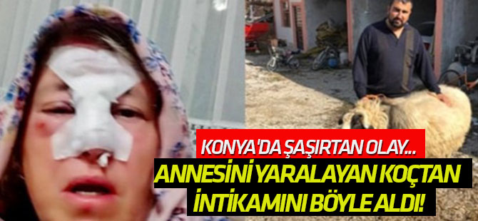 Annesinin yüzünü parçalayan koçtan intikamını böyle aldı!