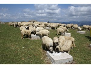 Genç çiftçilere 21 milyon