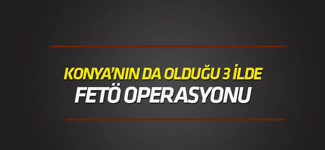 3 ilde FETÖ/PDY operasyonu