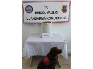 Bingöl’de 17 kilo esrar ele geçirildi, 2 şüpheli tutuklandı