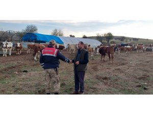 Jandarma, kayıp hayvanları ’drone’ ile buldu