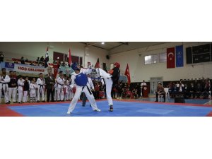Türk dünyasının hapkido kardeşliği