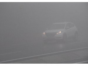 Batı Karadeniz'de sis