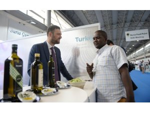 Yabancı firmalar iş birliği için geliyor